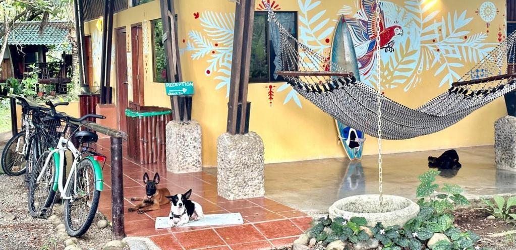 Luminosa Uvita Hostel 外观 照片
