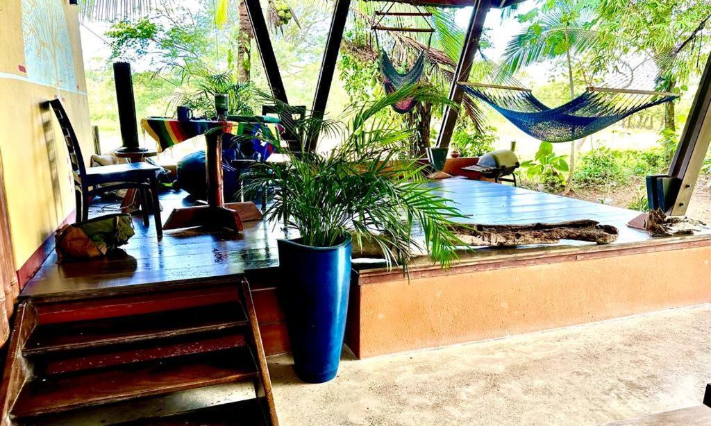 Luminosa Uvita Hostel 外观 照片