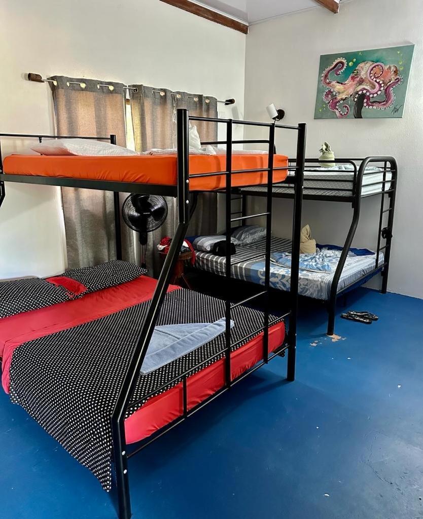 Luminosa Uvita Hostel 外观 照片